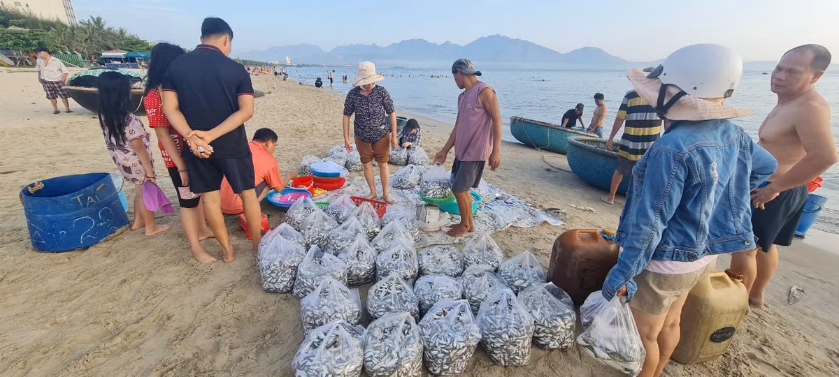 Nhiều người đi tắm biển, tập thể dục buổi sáng tranh thủ ghé chợ cá.