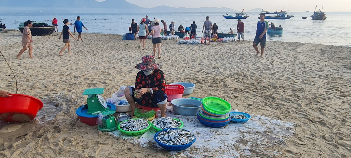 Khu vực bán lẻ dành cho khách tắm biển thường kết thúc trước 7h sáng.