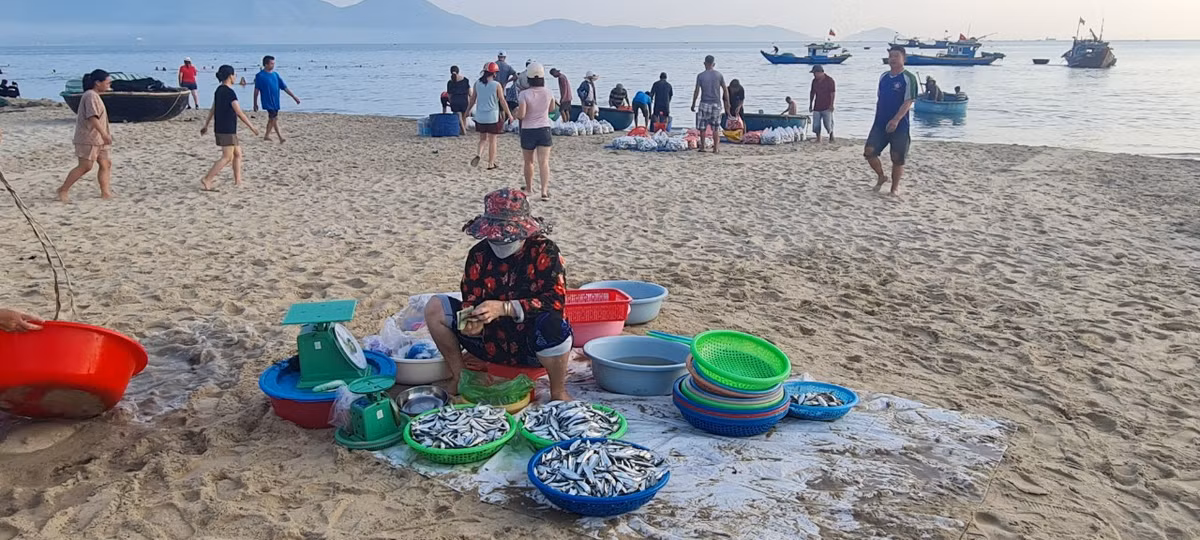 Khu vực bán lẻ dành cho khách tắm biển thường kết thúc trước 7h sáng.