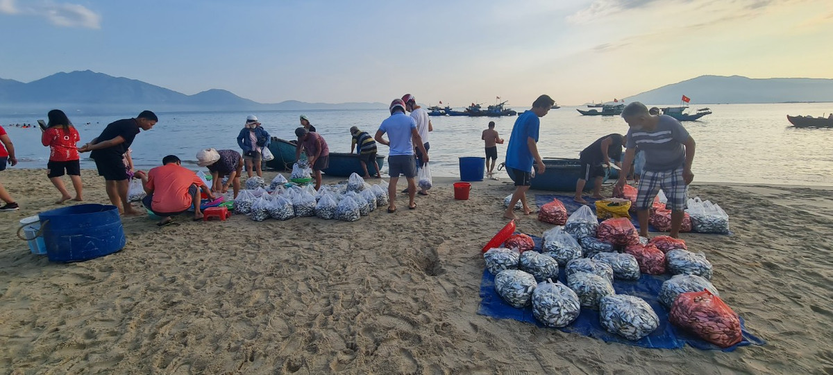 Do chợ cá trên bãi biển chỉ họp nhanh vào sáng sớm nên hầu hết cá được đổ vào bao để vận chuyển đến các chợ nhỏ.