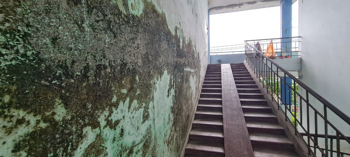 Dọc cầu thang, không khó để bắt gặp từng mảng tường thấm dột loang lổ, rêu mốc từng đám lớn.