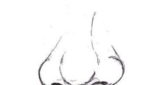 Nguoi dan ong co tuong mui nay se gap nhieu may man, giau sang, phu quy