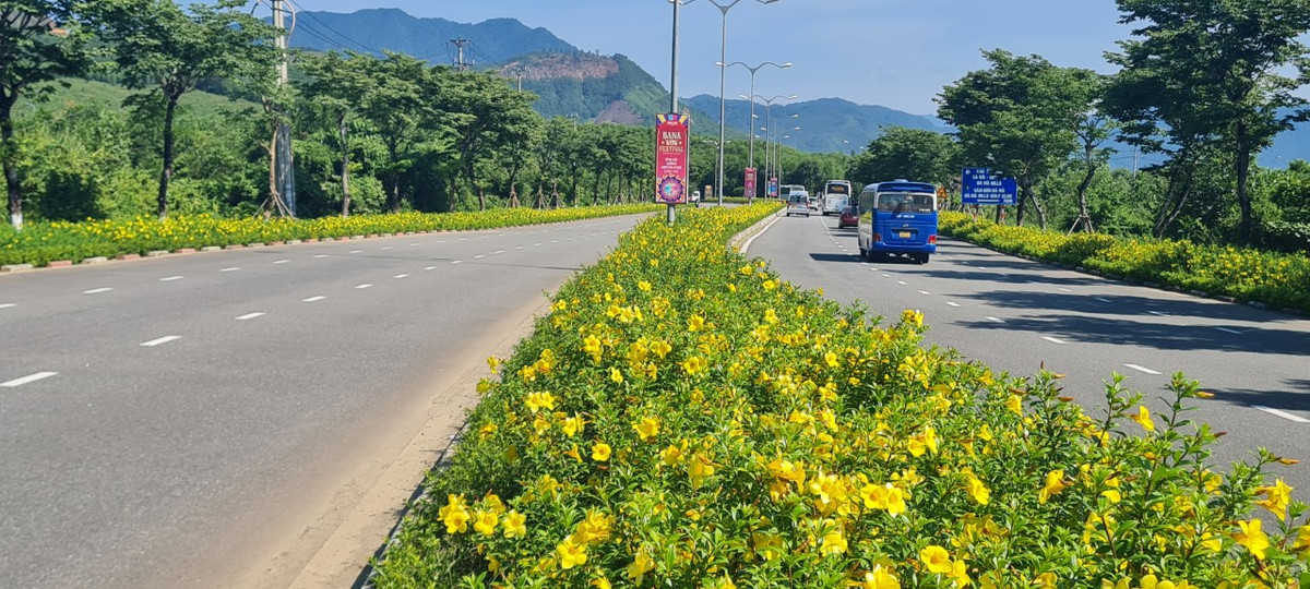 Được quy hoạch 50m sâu kể từ lề đường dành cho cây xanh, trong đó 5m vỉa hè hai bên và 3m chiều ngang dải phân cách dọc suốt con đường đều được trồng hoa, tiểu cảnh và cây xanh xen kẽ, tạo sức hút đặc biệt về mỹ quan.