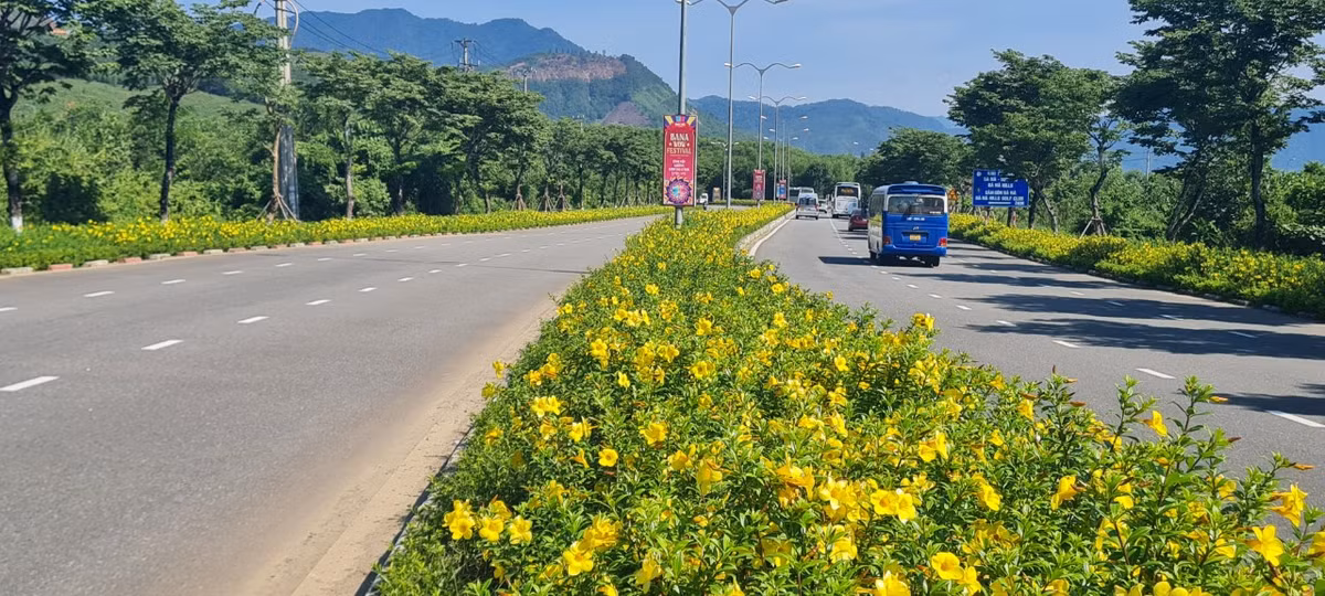 Được quy hoạch 50m sâu kể từ lề đường dành cho cây xanh, trong đó 5m vỉa hè hai bên và 3m chiều ngang dải phân cách dọc suốt con đường đều được trồng hoa, tiểu cảnh và cây xanh xen kẽ, tạo sức hút đặc biệt về mỹ quan.