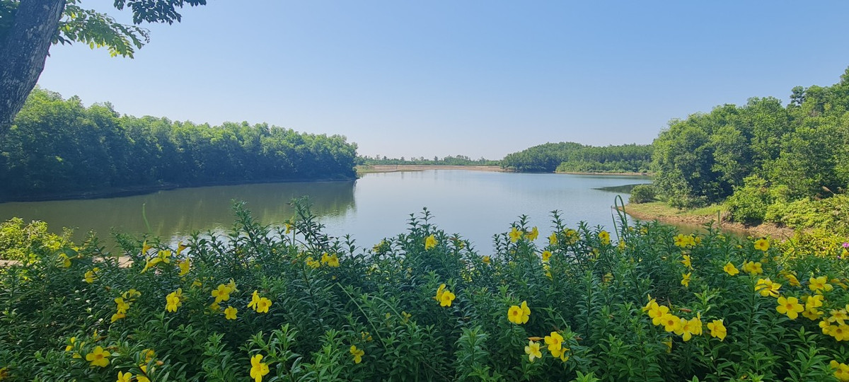 Có lẽ, top 10 cung đường đẹp nhất Đà thành không thể thiếu cái tên Bà Nà - Suối Mơ.