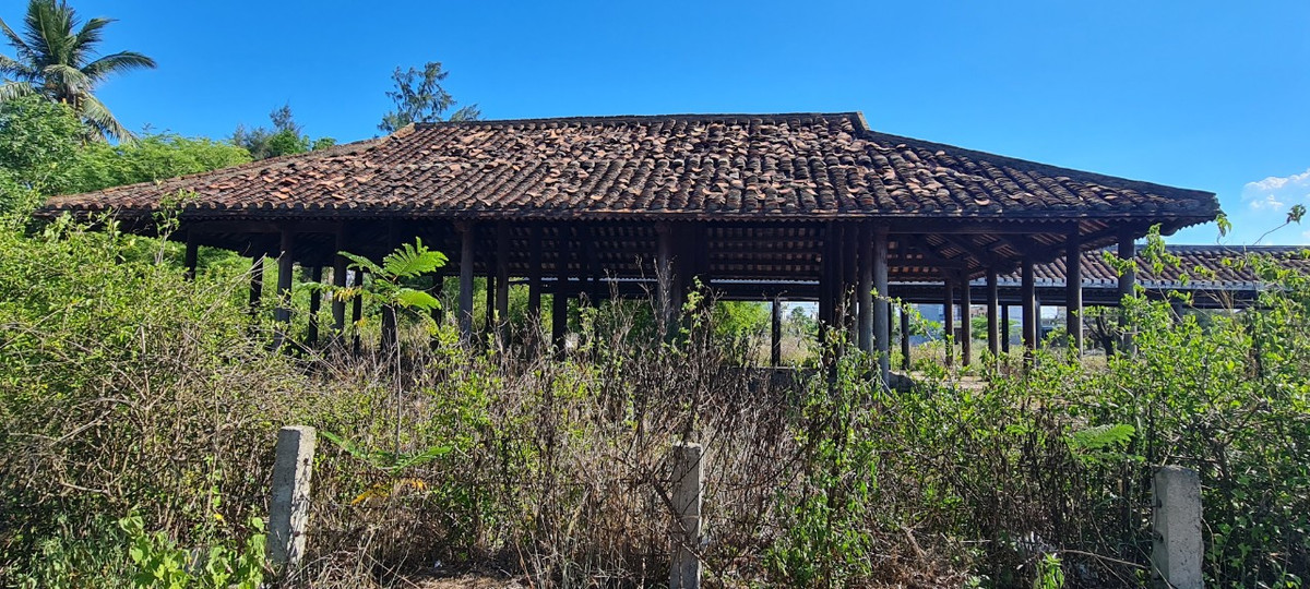 Mái ngói đã đổi màu, cỏ bò lên tận nóc, phủ kín lối đi.