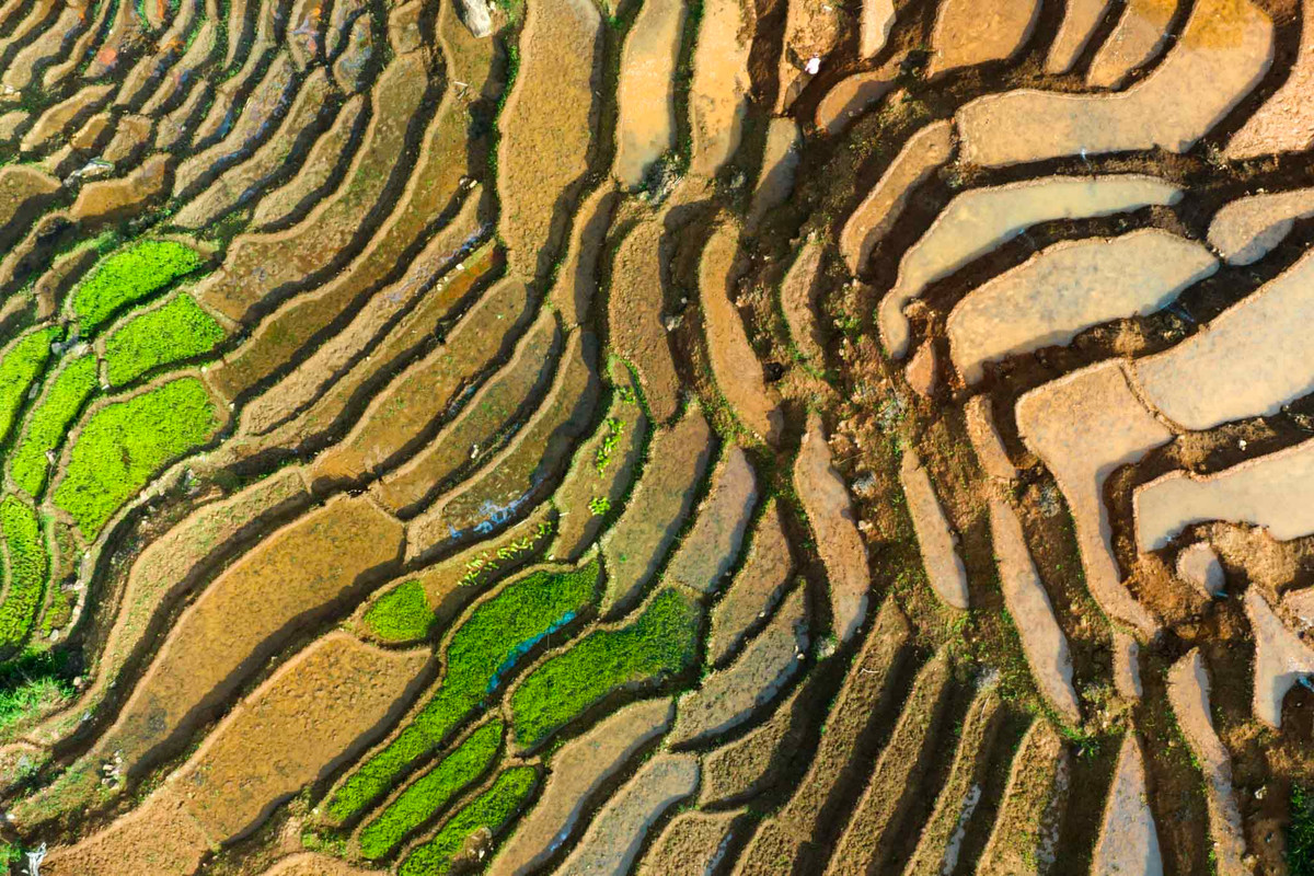 Những ô ruộng bậc thang đầy ấn tượng. Ảnh: Nguyễn Ban
