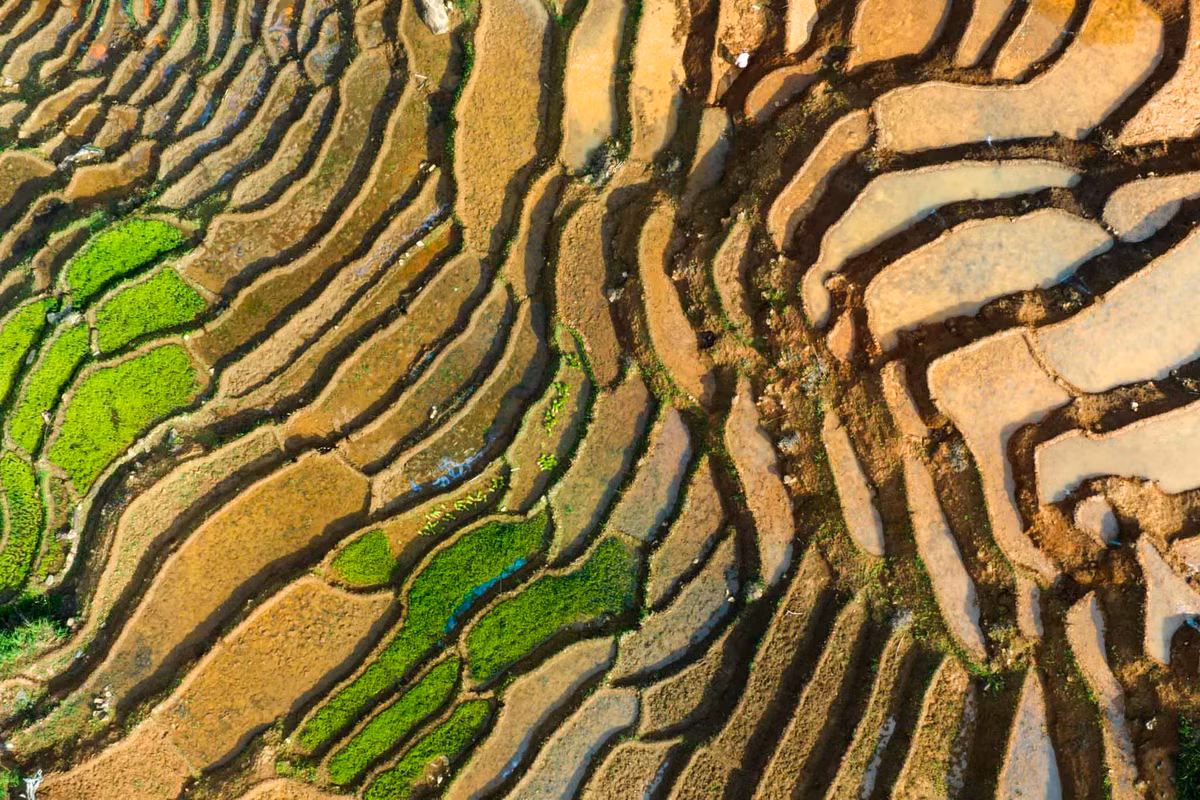 Những ô ruộng bậc thang đầy ấn tượng. Ảnh: Nguyễn Ban