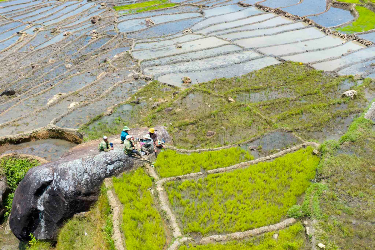Người dân tranh thủ nghỉ ngơi sau giờ làm ruộng. Ảnh: Nguyễn Ban