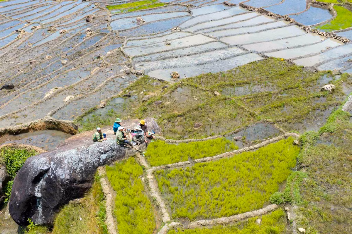 Người dân tranh thủ nghỉ ngơi sau giờ làm ruộng. Ảnh: Nguyễn Ban