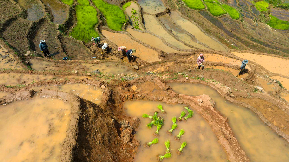 Các cánh đồng lúa bậc thang đầy ắp nước, bản nhỏ chênh vênh bên sườn đồi… đều cuốn hút du khách. Ảnh: Nguyễn Ban