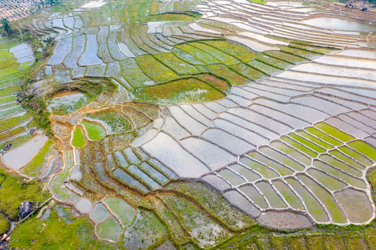 Những thửa ruộng bậc thang được xả đầy nước chuẩn bị cấy bên cạnh một số thửa đã lên mạ non. Ảnh: Nguyễn Ban