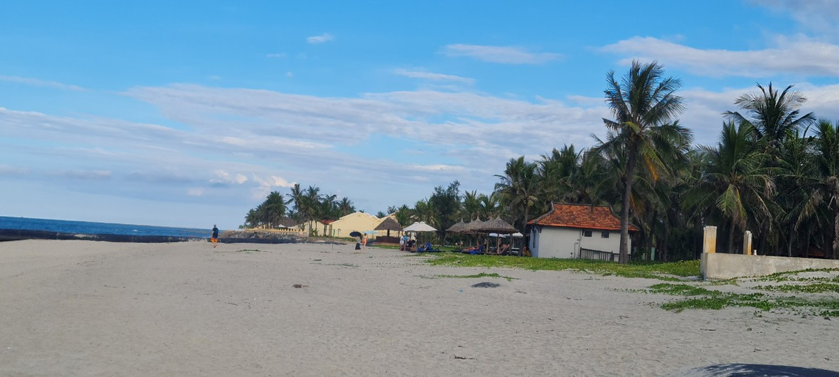 Lặng ngắm bãi biển Cửa Đại hồi sinh Lang ngam bai bien Cua Dai hoi sinh
