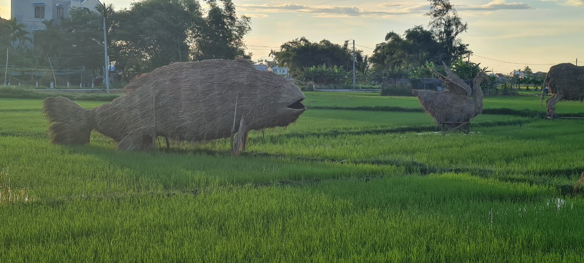 Xa xa là một chú cá khổng lồ, mô hình ngộ nghĩnh được nhiều em nhỏ yêu thích.