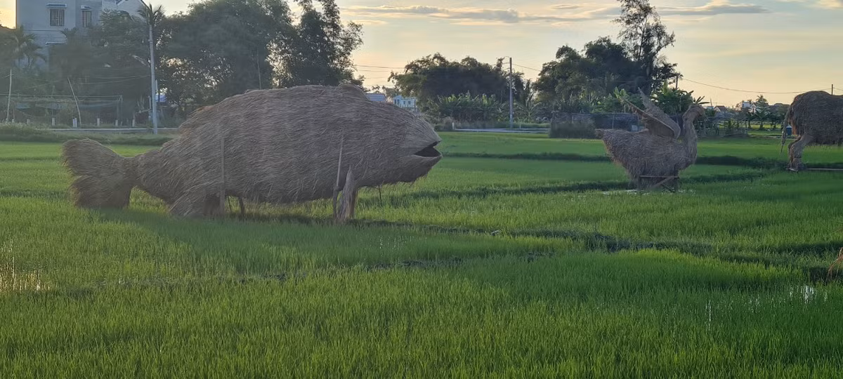 Xa xa là một chú cá khổng lồ, mô hình ngộ nghĩnh được nhiều em nhỏ yêu thích.