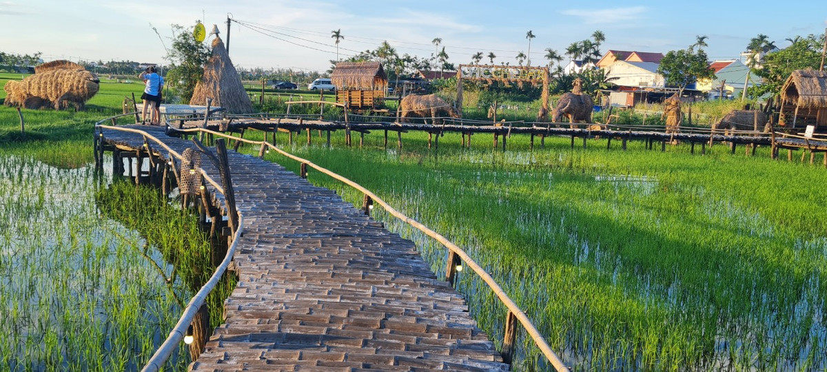 Me man vuon thu co 1-0-2 giua “canh dong bat tan” o Hoi An