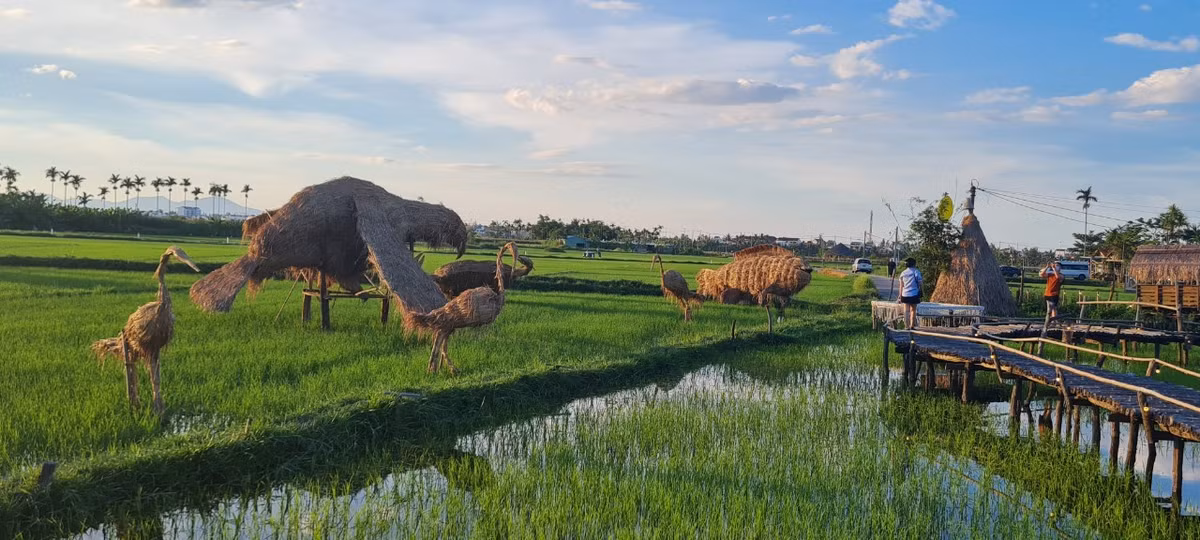 Me man vuon thu co 1-0-2 giua “canh dong bat tan” o Hoi An-Hinh-2