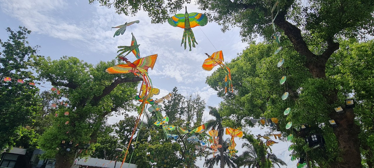 Den Festival Hue, chiem nguong “nghe thuat roi tren khong“-Hinh-2