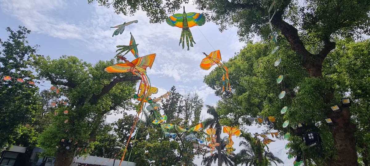 Den Festival Hue, chiem nguong “nghe thuat roi tren khong“-Hinh-2