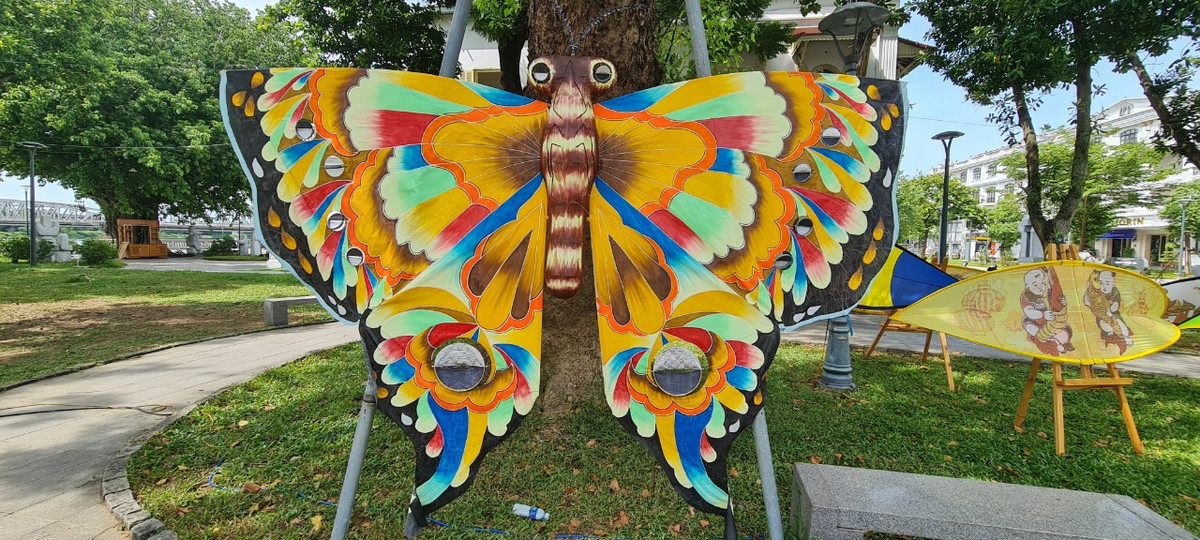 Một "cánh bướm" khổng lồ dưới gốc cây.