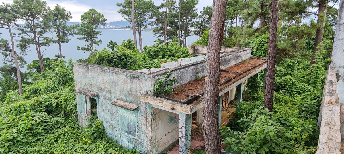 Phía sau còn có một dãy nhà khác, cũng chìm trong đám dây leo. Các hạng mục đã cũ nát, hư hỏng. Tất cả dường như đã bị lãng quên.