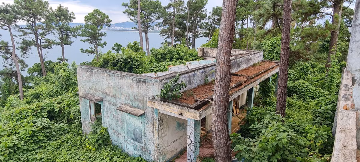 Phía sau còn có một dãy nhà khác, cũng chìm trong đám dây leo. Các hạng mục đã cũ nát, hư hỏng. Tất cả dường như đã bị lãng quên.