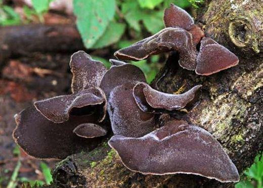 Thuc pham la “ke thu” huyet ap cao, an vao mach mau biet on-Hinh-2