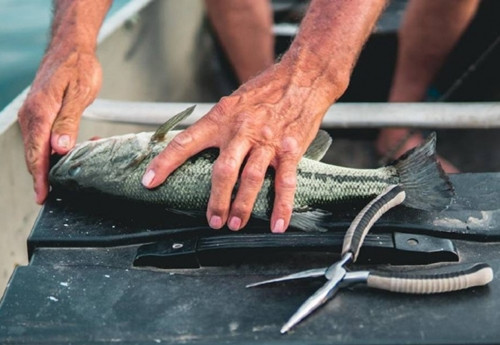 Bat can khi lam ca, nguoi dan ong suyt mat mang