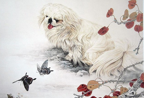 Tài vận của tuổi Tuất cũng không kém, công danh sáng rực kéo theo nhiều chuyện tốt.