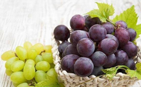 An nho cung thu nay “choc gian” te bao ung thu