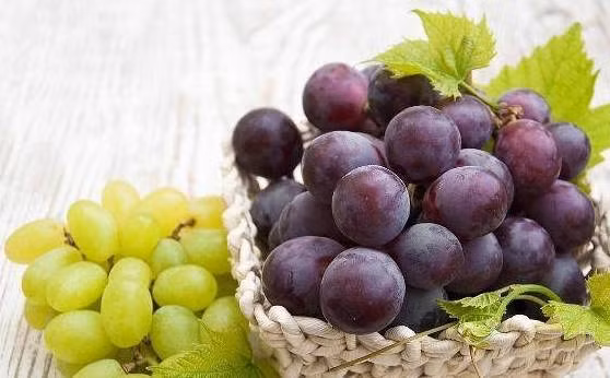 An nho cung thu nay “choc gian” te bao ung thu