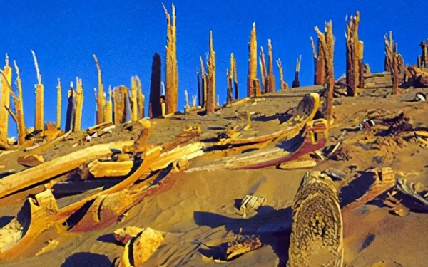 Nằm ở phía Đông Nam Tân Cương, Lop Nur từng là hồ nước mặn lớn thứ hai Trung Quốc. Tuy nhiên, nó đã khô cạn hoàn toàn từ khoảng 1.500 năm trước, hòa mình vào sa mạc Gobi.