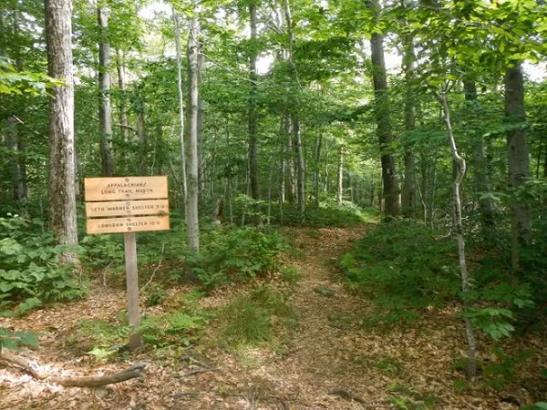  Tam giác Bennington là một khu vực tương đối rộng thuộc bang Vermont, Mỹ, mà nổi bật trong đó là "thị trấn ma" Glastenbury, nơi từng là cộng đồng khai thác gỗ nhỏ tập trung trên ngọn núi cùng tên ở tây nam Vermont.