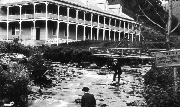 Ngoài hàng trăm người tham gia tìm kiếm, một cảnh sát trưởng từ New Hampshire còn mang chó nghiệp vụ tới đánh hơi. Con chó có thể nhận ra mùi của cậu bé nhưng bất ngờ mất dấu tại một ngã tư gần đó.