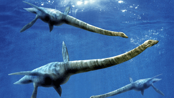 Xà đầu long (plesiosaur) là một loài bò sát biển bao gồm cá sấu và ngư long. Chúng tiến hóa từ sinh vật đất, và sau đó quay lại sống trong các đại dương.