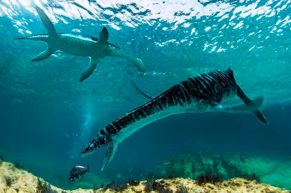 Tuy nhiên, một số người tin rằng, sinh vật khổng lồ này có thể vẫn còn tồn tại đến ngày nay, ví dụ tiêu biểu như quái vật ở hồ Loch Ness.