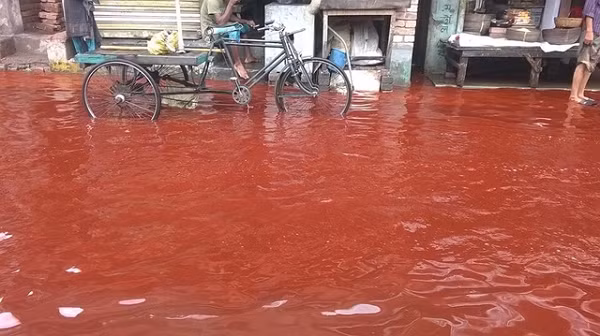 Theo lời giải thích từ các nhà nghiên cứu, cát và bụi nâu do những cơn bão mang theo, trộn lẫn với giọt nước trong mây, khiến mưa có màu đỏ nâu.