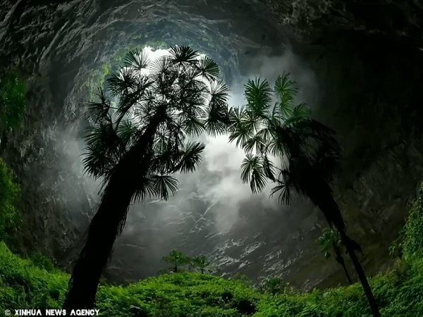 Các nhà thám hiểm hang động đã vô tình tìm ra chiếc hố này. Kiểu địa hình này được tạo ra do hiện tượng nước ngầm lưu thông qua các lớp, hòa tan thạch cao và đá vôi.