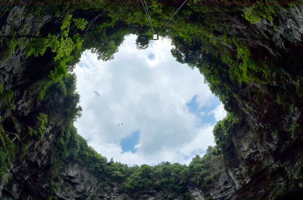 Các nhà khoa học trên thế giới nóng lòng đợi chờ những dữ liệu tiếp theo về các loài mới, đặc biệt là các nhà thực vật Trung Quốc, trong bối cảnh đất nước này đang nỗ lực trồng cây xanh để chống lại sa mạc hóa.