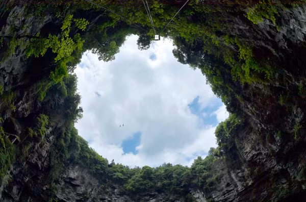 Các nhà khoa học trên thế giới nóng lòng đợi chờ những dữ liệu tiếp theo về các loài mới, đặc biệt là các nhà thực vật Trung Quốc, trong bối cảnh đất nước này đang nỗ lực trồng cây xanh để chống lại sa mạc hóa.