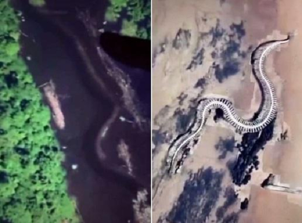 Google Maps đã ghi lại được hình ảnh một con rắn khổng lồ trong rừng rậm Indonesia và một “con” khác nằm ngay ngoài khơi bờ biển nước Pháp vô cùng bí ẩn.