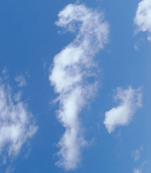 Tuy nhiên, các nhà khoa học giải thích đây chính là hiện tượng "pareidolia", khiến não người tự động liên kết các hình ảnh "giông giống" thành thứ quen thuộc.