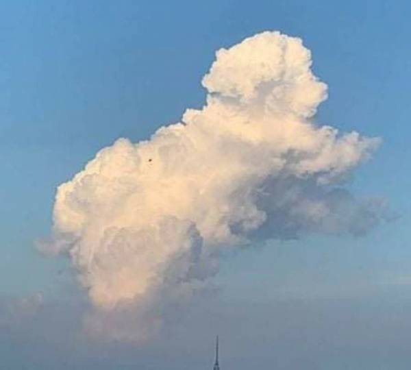 Những khuôn mặt hiện vật được hình thành từ những chi tiết của những vật hoàn toàn không liên quan gì đến nhau. Pareidolia xuất hiện ở những người khác nhau trong hoàn cảnh thời điểm khác nhau.