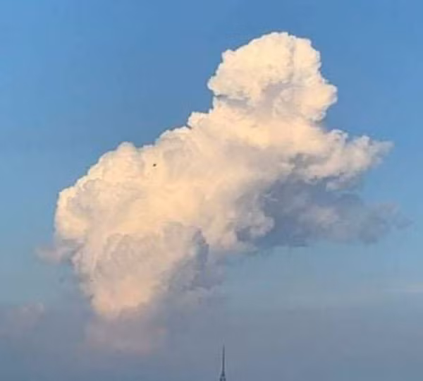 Những khuôn mặt hiện vật được hình thành từ những chi tiết của những vật hoàn toàn không liên quan gì đến nhau. Pareidolia xuất hiện ở những người khác nhau trong hoàn cảnh thời điểm khác nhau.