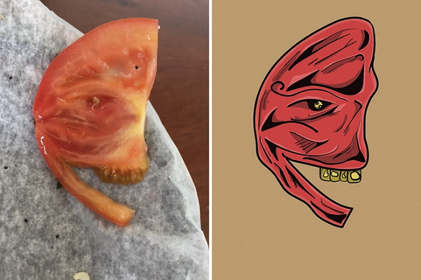 Khi chúng ta kì vọng nhìn thấy một điều gì đó thì não bộ sẽ tự động tìm kiếm lắp ghép tất cả các chi tiết có sẵn trong môi trường để đáp lại sự kỳ vọng đó của chúng ta. Và tất nhiên đó chỉ là một sự ảo giác thú vị mà thôi.