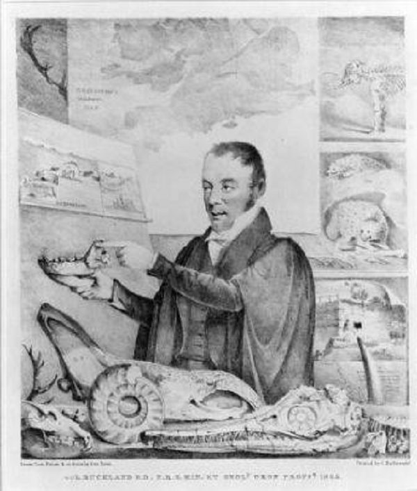 Theo đó, kế hoạch của ông là cố gắng ăn nhiều loại động vật nhất trên Trái đất. Để thực hiện điều đó, ông Buckland đã ăn: nhím nướng, đà điểu, báo, cá heo, chó và nước tiểu của dơi. Thậm chí, nhà khoa học Buckland còn bị đồn là đã ăn trái tim của vua Louis XIV.