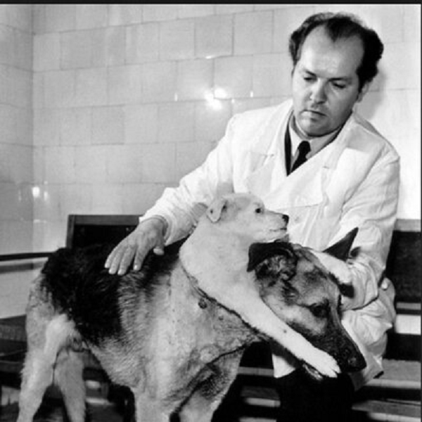 Sự vô nghĩa của thử nghiệm này đã khiến đây trở thành một trong những thử nghiệm tồi tệ nhất trong lịch sử từng ghi nhận. Không cần phải nói, cả hai con chó đều đã tử vong vì các mô tế bào của chúng từ chối tiếp nhận "bộ phận mới".