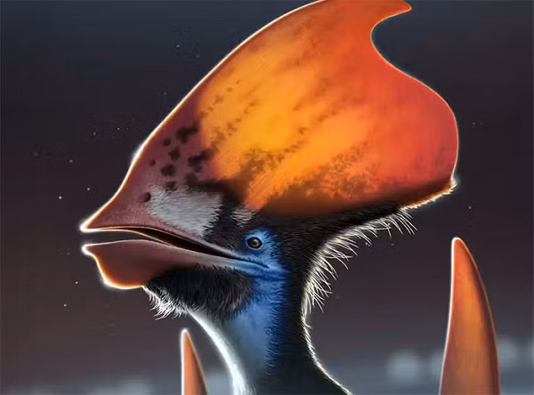 Theo các nhà khoa học, Pterosaur hay dực long là sinh vật hay ho nhất từng xuất hiện trên không trung. Chúng biết bay trước cả chim và dơi, cũng là loài có dây sống đầu tiên có thể bay. Ngoài ra, kích thước của chúng là lớn nhất trong tất cả các loài động vật biết bay.