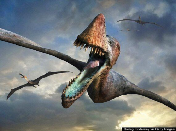 Pterosaur là loài sinh vật có sự tiến hóa cực kỳ thành công. Chúng hiện diện ở kỷ Tam điệp (cách đây 215 triệu năm), và tồn tại trong suốt 150 triệu năm trước khi bị tuyệt chủng vào cuối kỷ Phấn trắng.
