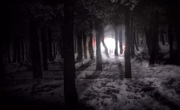 UFO này đã xuất hiện chốc lát trên màn hình ra-đa quân đội. Hai đêm sau, UFO này đã trở lại và xuất hiện trước mắt vị phó chỉ huy trưởng. Trước đó, ông tỏ ra khá hoài nghi trước báo cáo về UFO. Tuy nhiên, sau khi tận mắt chứng kiến nó, ông cùng một nhóm nhỏ đã bắt đầu mở một cuộc điều tra.